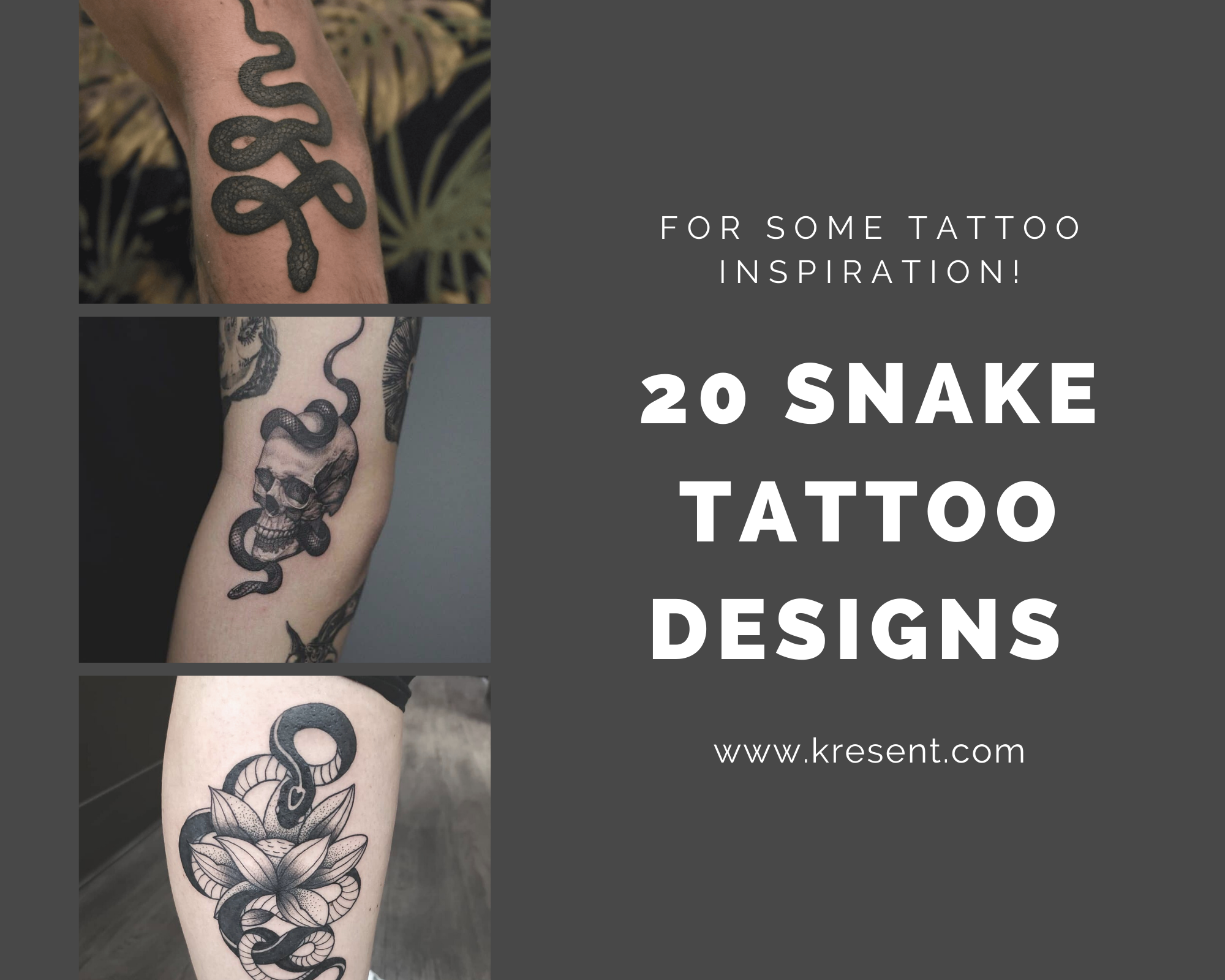 Snake tattoo hires stock photography and images  Alamy