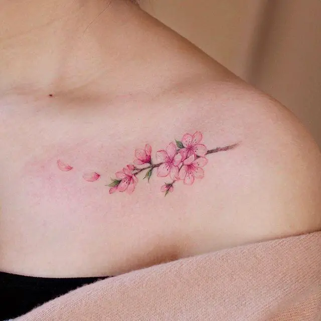 15 Cherry Blossom Tattoos In Peony And Cherry Blossom Tattoo & More ...